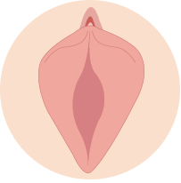 비대 소음순